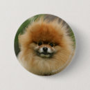 Recherche de bobber badges Photographe canin