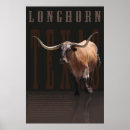 Recherche de longhorn du texas posters Sud ouest