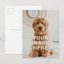 Recherche de expéditeur cartes postales Pour tous