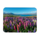 Recherche de zeland magnets Paysage