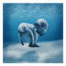 Recherche de manatee posters Vache de mer