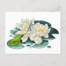 Recherche de de libellule cartes postales Fleur