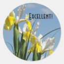 Recherche de iris bleu autocollants Floral