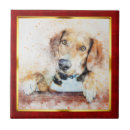 Recherche de peinture de chien carreaux Animal de compagnie