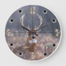 Recherche de cerfs communs horloges Nature