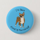 Recherche de chihuahua badges Chiots