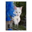 Recherche de boa cartes postales Animaux