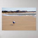 Recherche de oiseaux marins posters Goéland