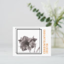 Recherche de losange cartes postales Pour elle