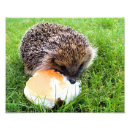 Recherche de hedgehog posters Mignon