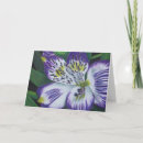 Recherche de salutation pourpre de fleur vœux cartes Pensée