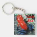 Recherche de photo de grenouille accessoires Costa rica