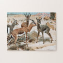 Recherche de gazelle puzzles Animal