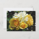 Recherche de bouquet photographie Roses