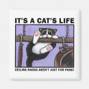Recherche de minou noir magnets Félin
