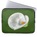 Recherche de calla lilly électronique Vert