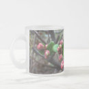 Recherche de bourgeon tasses Rose