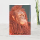 Recherche de visage singe cartes invitations Faune