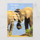 Recherche de slogan photographie Photographie de la nature