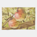 Recherche de pomme cuisine linges Nourriture