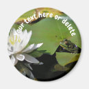 Recherche de mignons grenouille magnets Pour elle