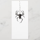 Recherche de spider web invitations Insecte