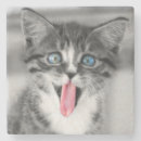 Recherche de chaton drôle dessous de verres Animal