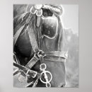 Recherche de cheval art Noir et blanc