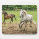 Recherche de image cheval tapis souris Photo de cheval