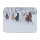 Recherche de courant magnets Hiver