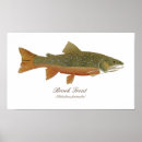 Recherche de trout posters Fishing