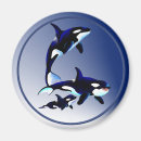 Recherche de mamans de marine magnets Orque