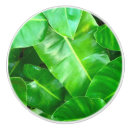 Recherche de jungle boutons et poignées de porte Botanique