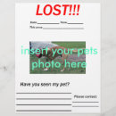 Recherche de perdu prospectus Dog