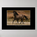 Recherche de mustang art Horses