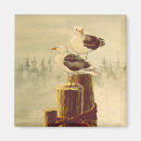 Recherche de mouettes magnets L'eau