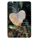 Recherche de aiguille magnets Nature