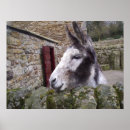 Recherche de donkey posters Ferme