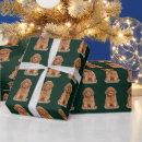 Recherche de vert de pin papier cadeau Toute personne