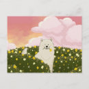 Recherche de samoyede cartes postales Samoyède