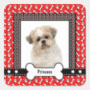 Recherche de humour de chien autocollants Pour animaux