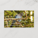 Recherche de geai Nature