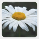 Recherche de pollen autocollants Fleur