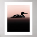Recherche de plongeon posters Lac