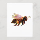 Recherche de pollen cartes postales Nature