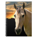Recherche de cheval carnets Tête