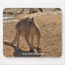 Recherche de animaux australiens tapis souris Toute personne