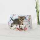 Recherche de chaton drôle vœux cartes Tabby