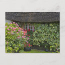 Recherche de limerick cartes postales Vacances