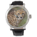 Recherche de guépard montres Animal
